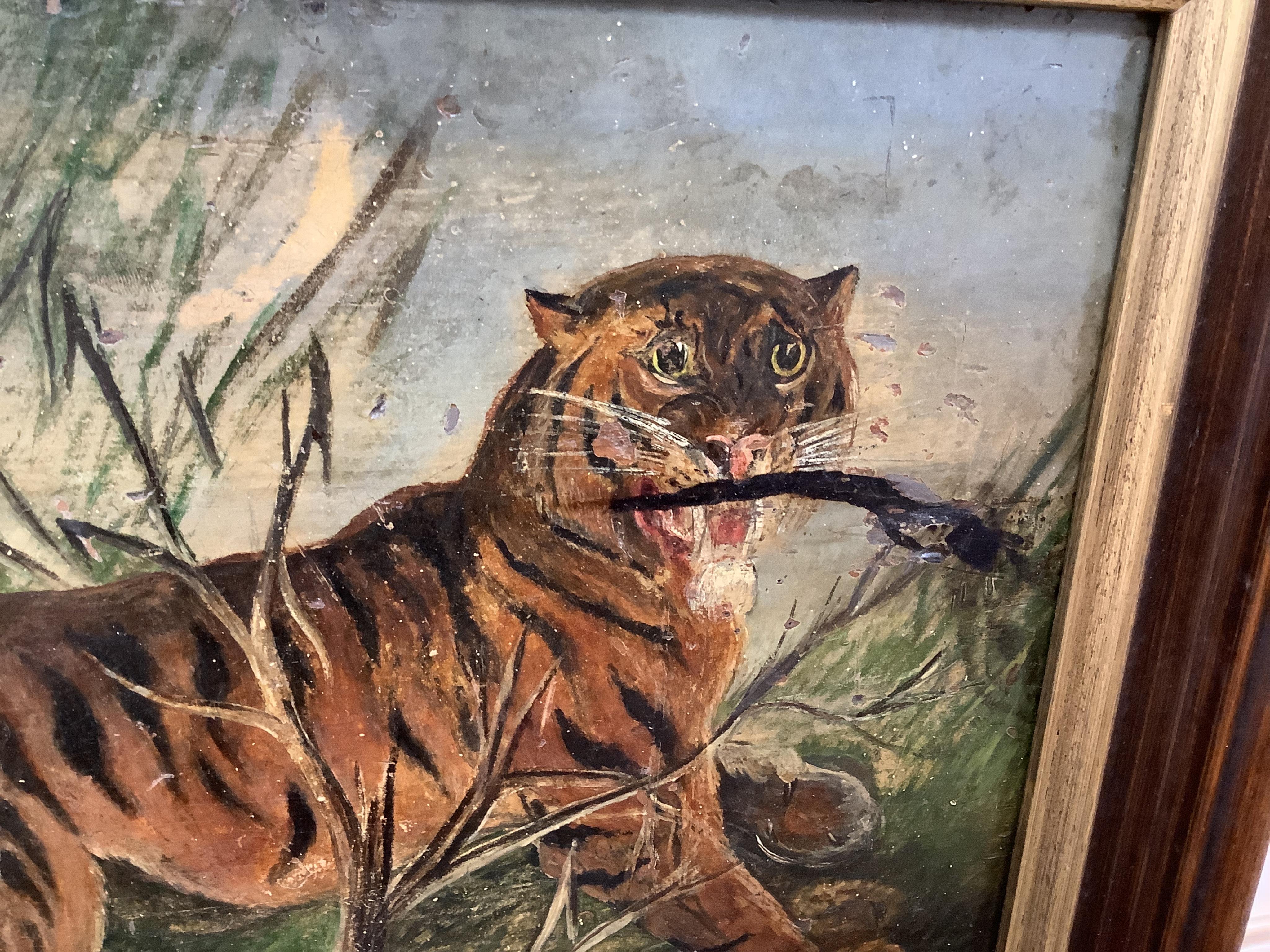 Late 19th / early 20th century, naive oil on panel, Study of a tiger, indistinctly signed lower left, A Ten...., 20 x 26cm. Condition - poor